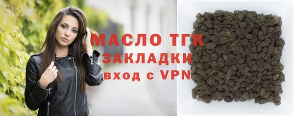 хмурый Новозыбков