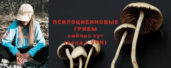 мяу мяу кристалл Новодвинск