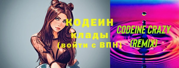 хмурый Новозыбков