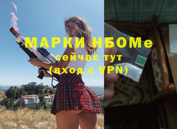 хмурый Новозыбков