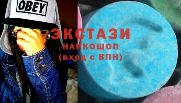 хмурый Новозыбков