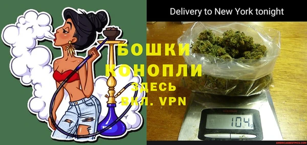хмурый Новозыбков