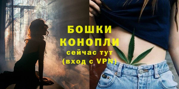 хмурый Новозыбков