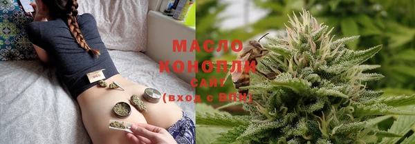 хмурый Новозыбков