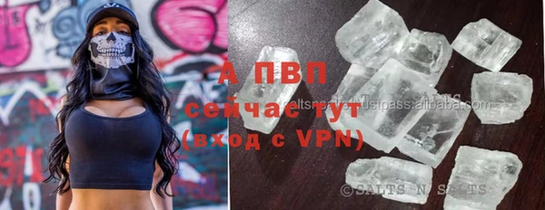 хмурый Новозыбков