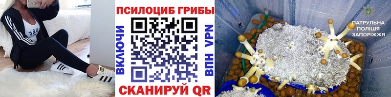 Галлюциногенные грибы Cubensis Набережные Челны