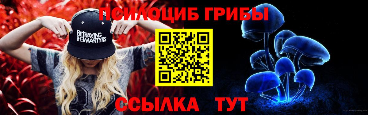 Галлюциногенные грибы Cubensis Набережные Челны